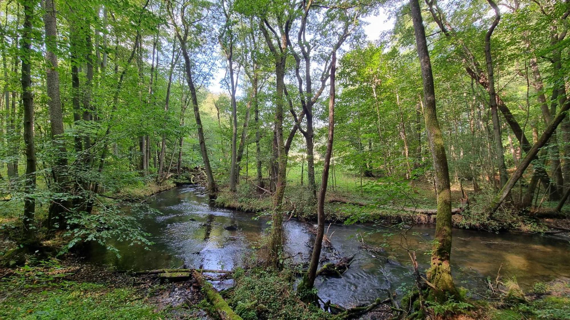 Domki Nad Morzem Lublewo21 Obok Bialogory Lublewo Leborskie Екстериор снимка